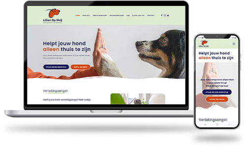 lilian-portfolio-voorbeelden