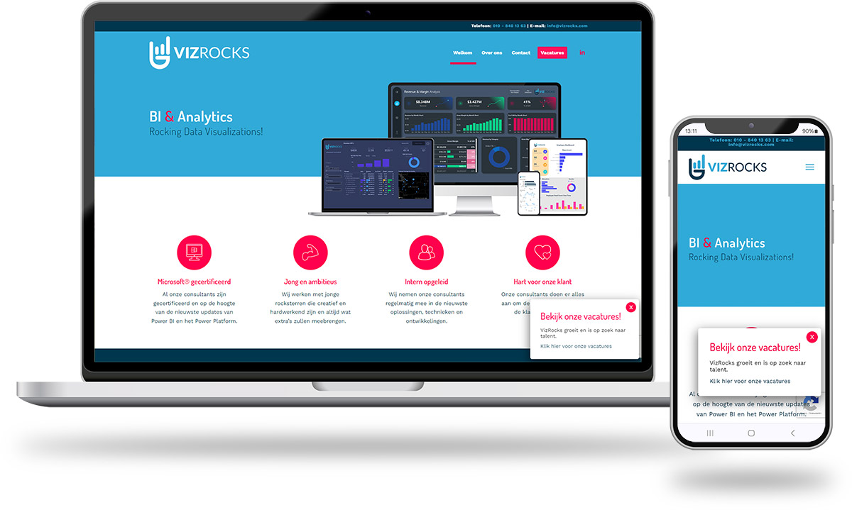 VizRocks - Rocking Data Visualizations! portfolio-vizrocks