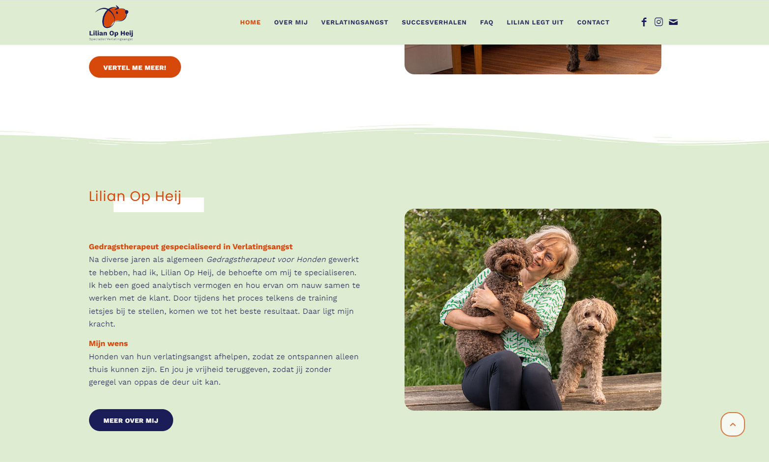 screenshot website Lilian Op Heij screenshots-voorbeelden lilian op heij