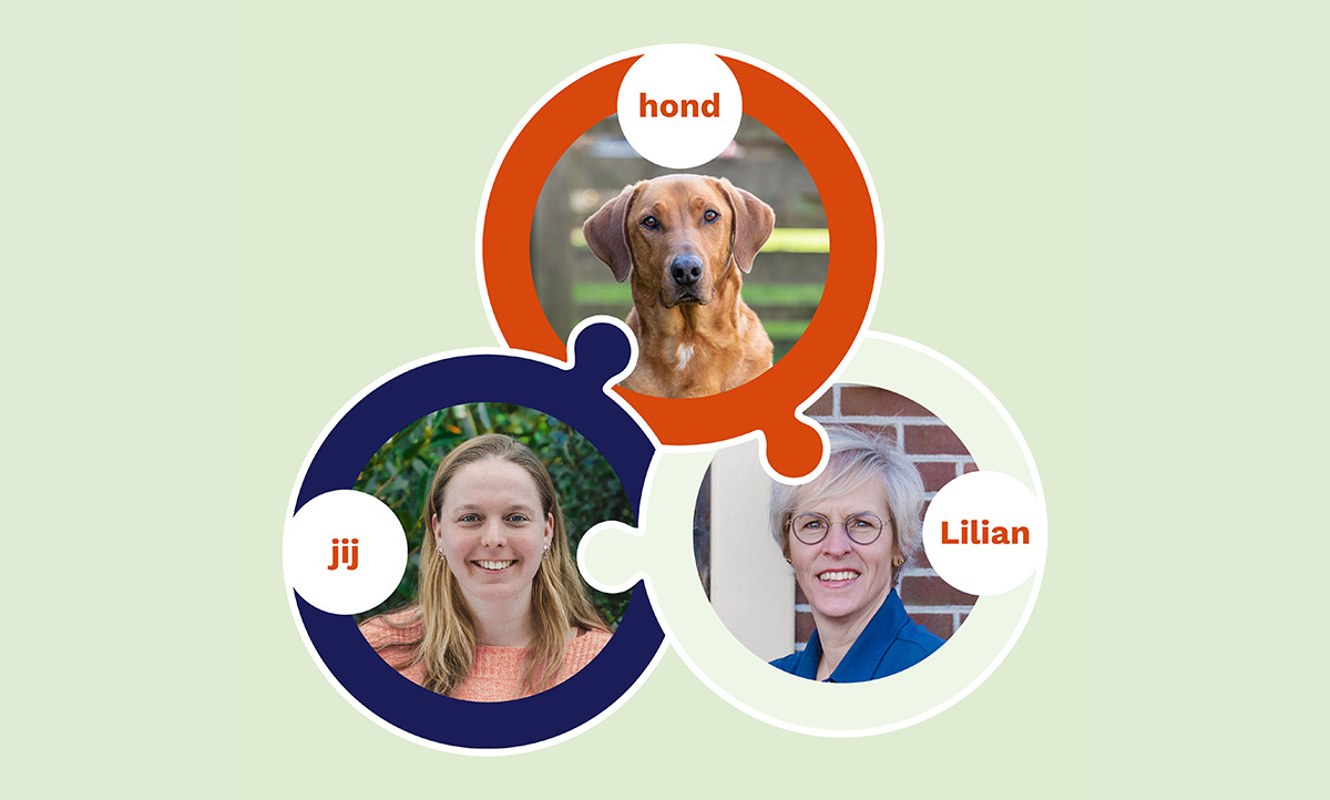 schematische weergave van de begeleiding afbeelding die ik ontwierp voor Lilian Op Heij