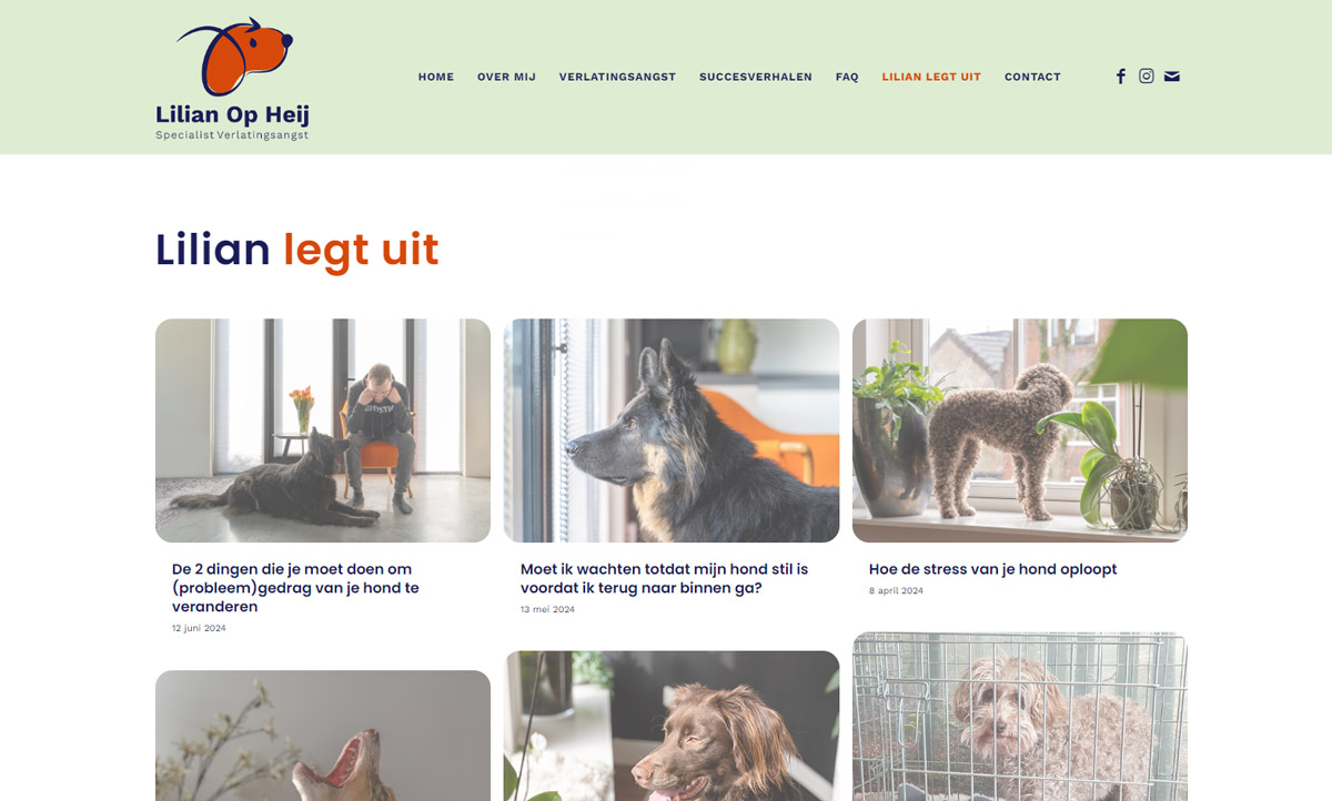 screenshot website Lilian Op Heij screenshots-voorbeelden-6