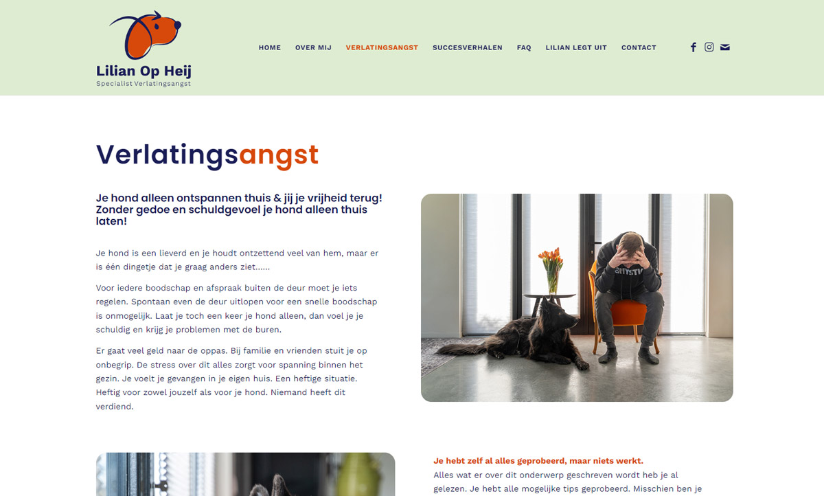 screenshot website Lilian Op Heij screenshots-voorbeelden-9