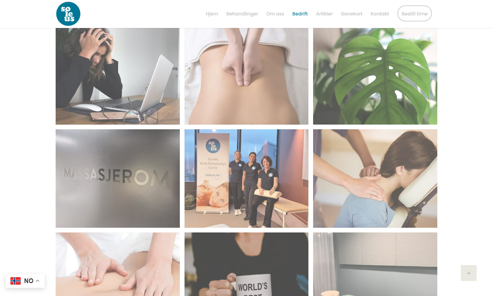 screenshot website Soleus screenshots-voorbeelden