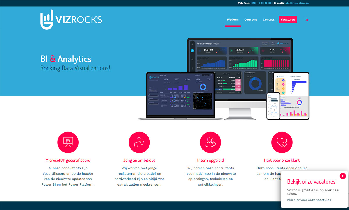 screenshot website VizRocks screenshot website VizRocks