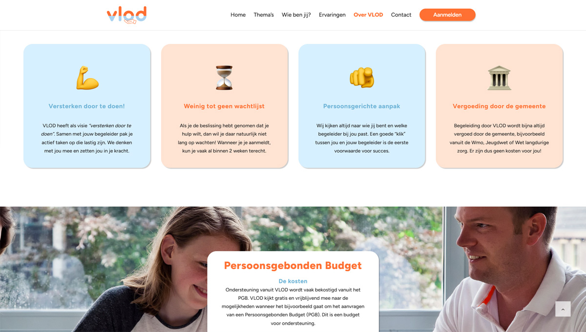 screenshot website VLOD